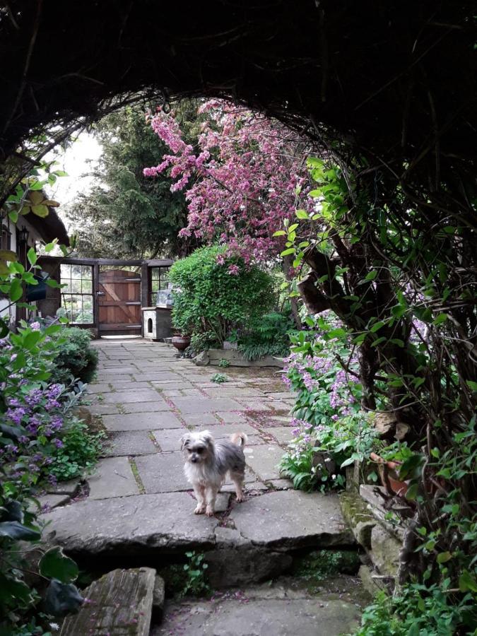 Parrs Cottage Wollaston  Buitenkant foto